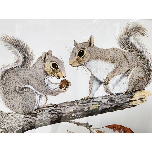 Gene Gray Signed Eastern Gray Squirrel Print 1st Ed Framed 1988 Wildlife Art - Picture 4 of 7